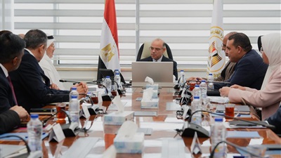 الدكتور محمد فريد:  إعداد جيل جديد من المصدرين كأولوية لتعزيز تنافسية الصادرات المصرية 