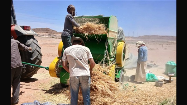 الحياة اليوم