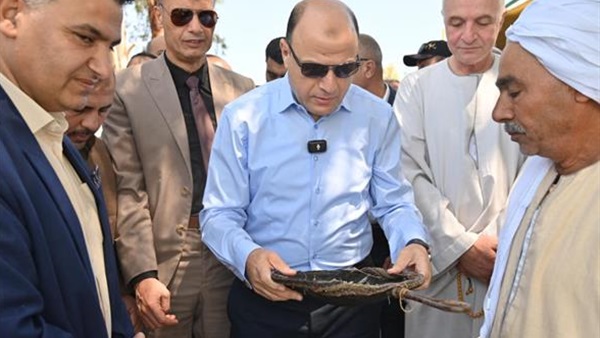 موضوعيه