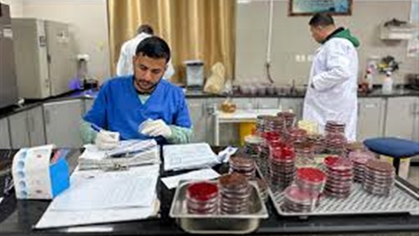 الحياة اليوم