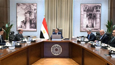 رئيس الوزراء يبحث مقترح إنشاء مركز توزيع لوجيستي عالمي بـ 