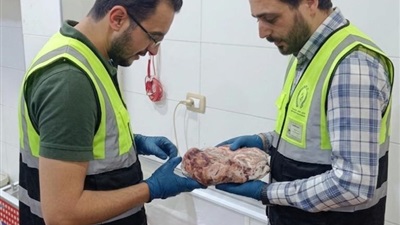 سلامة الغذاء تواصل حملاتها وتضبط لحومًا وحمامًا غير صالح للاستهلاك الآدمي 