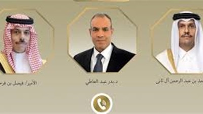 وزير الخارجية يبحث هاتفياً مع نظيريه السعودي والقطري تطورات الأزمة الإيرانية 