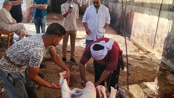 الحياة اليوم