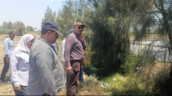 موضوعيه