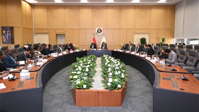 وزير الصناعة يبحث مع نظيره الجنوب إفريقي سبل تعزيز التعاون الاقتصادي وتحقيق التكامل الصناعي بين البلدين  