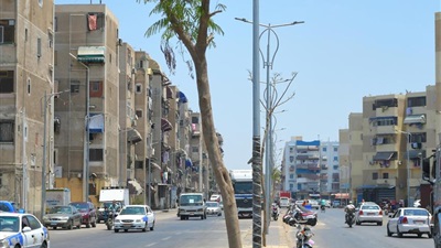 محافظ بورسعيد يتابع أعمال زراعة أشجار ونباتات البونسيانا بشارع محمد حسني مبارك بحي الزهور  