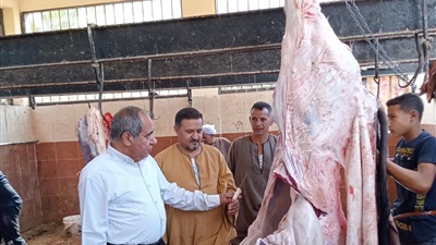 محافظ أسيوط:ضبط 2 طن لحوم ودواجن غير صالحة خلال حملات شهر يونيو  