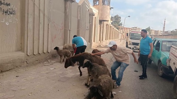 الحياة اليوم