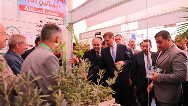 الحياة اليوم
