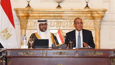 وزير الخارجية يبحث سبل دعم الشركات المصرية في التوسع بالأسواق الأفريقية 