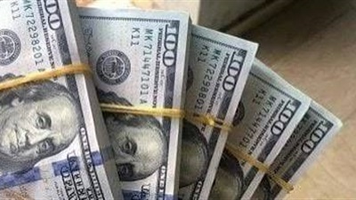 استقرار الدولار أمام الجنيه اليوم الجمعة.. 50.14 جنيه للشراء بالبنك المركزى 