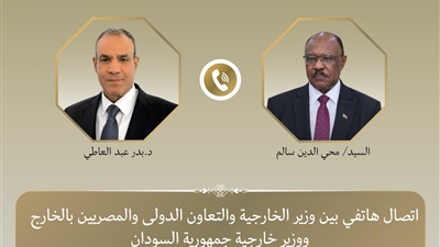 وزير الخارجية يؤكد على وحدة السودان وسيادته وسلامة أراضيه 