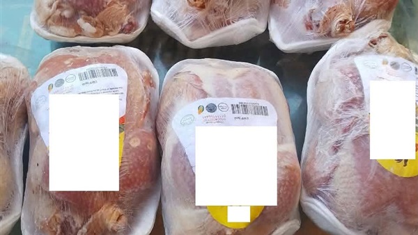 الحياة اليوم
