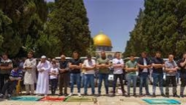 الحياة اليوم