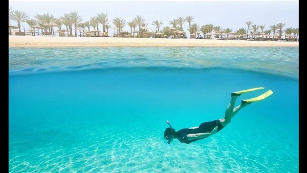 الحياة اليوم