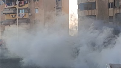 محافظ بورسعيد: حملات مكثفة لمكافحة البعوض والحشرات 