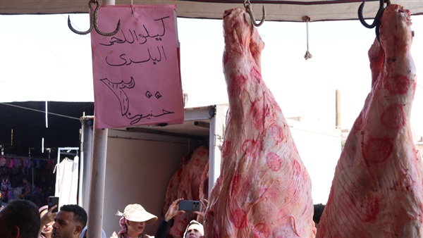الحياة اليوم