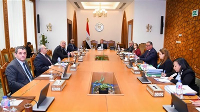 وزير الخارجية يبحث مع مجلس إدارة الوكالة المصرية للشراكة من أجل التنمية تطوير برامجها وتعزيز دورها في أفريقيا 