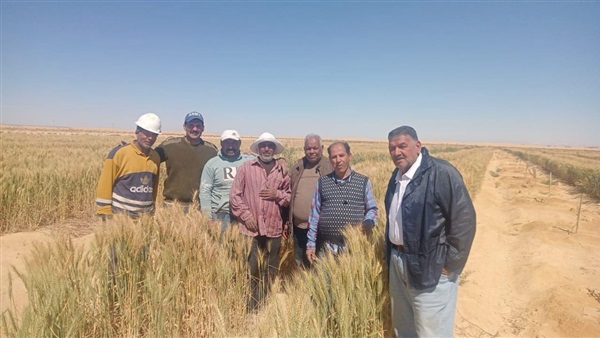 الحياة اليوم