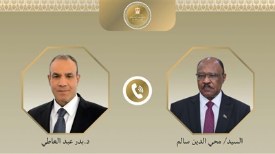 وزيرا خارجية مصر والسودان يؤكدان استمرار التشاور في القضايا ذات الاهتمام المشترك 
