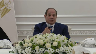 الرئيس السيسي: مصر تسعى وتبذل كل الجهد لتجنب وقوع نزاع فى السودان 