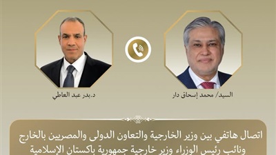 وزير الخارجية ونظيره الباكستاني يبحثان جهود خفض التصعيد 