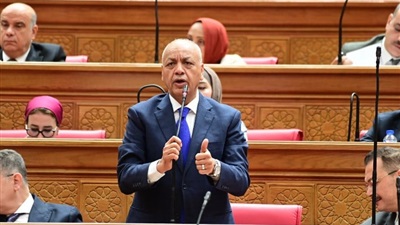 مصطفى بكري: مجلس النواب يحسم الإثنين المقبل موقفه من تفويض الرئيس السيسي لدعم السعودية 