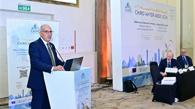 وزير الري: التعاون العلمي وتبادل البيانات وتطوير النماذج الهيدرولوجية ركائز أساسية لتعزيز الأمن المائي 