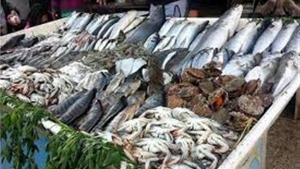 أسعار السمك 