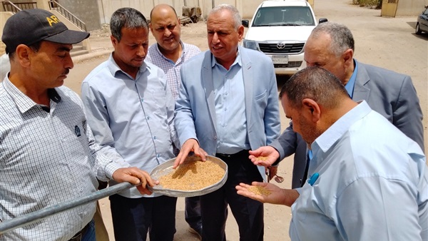 الحياة اليوم