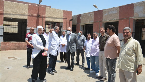 محافظ القليوبية