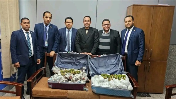 الحياة اليوم