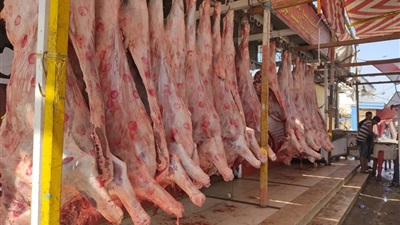 أسعار اللحوم البلدي اليوم الإثنين 29 مايو 2023 