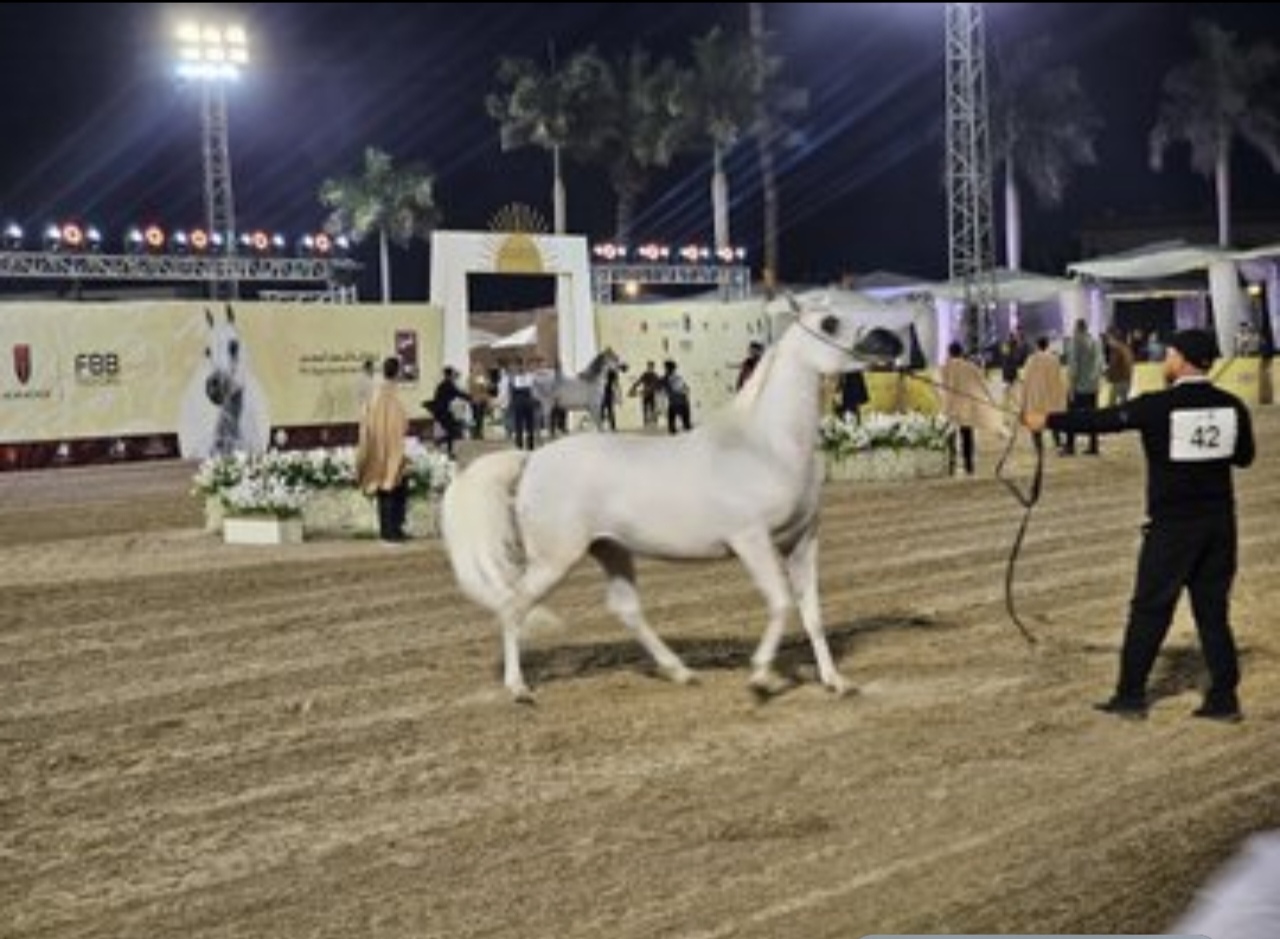 السفير التركي يشيد